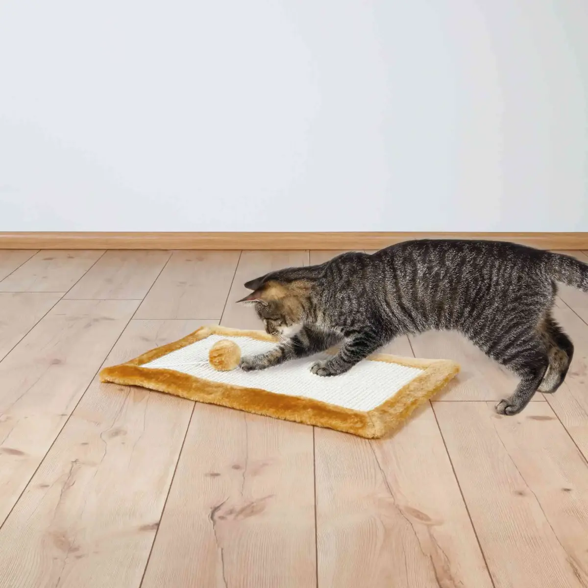 Nagu asināmais : Trixie Scratching Mat