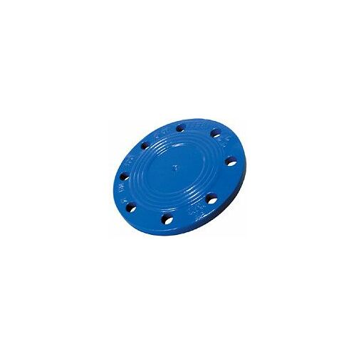 BLUCAST Noslēgatloks Dn65 PN16 | 269983