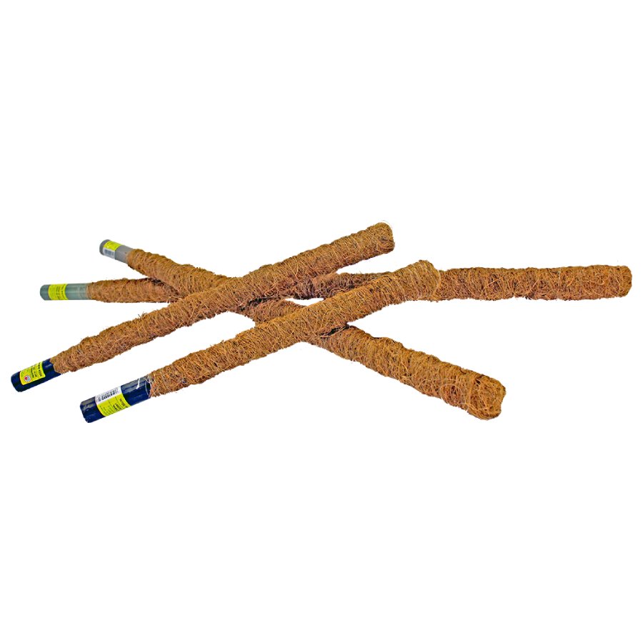 Rim Kowalczyk Nūja kokosa 80cm |