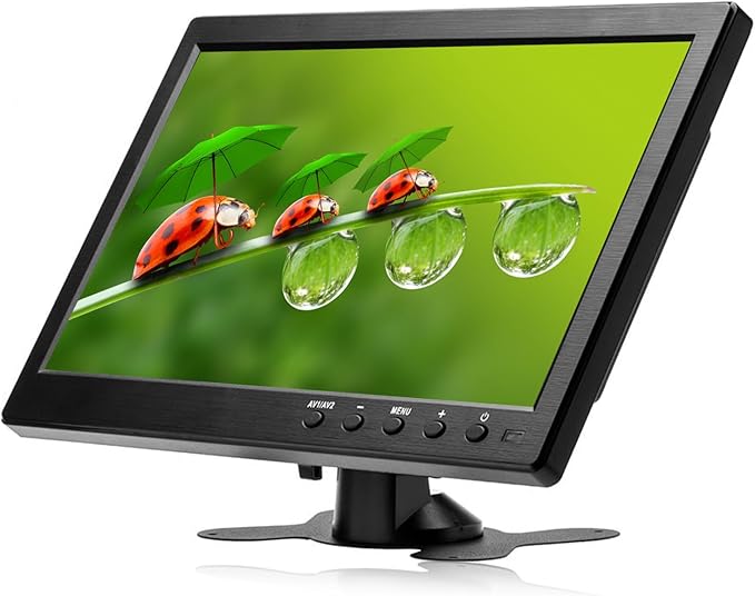 Master Podofo 10.1`` Car Monitor
