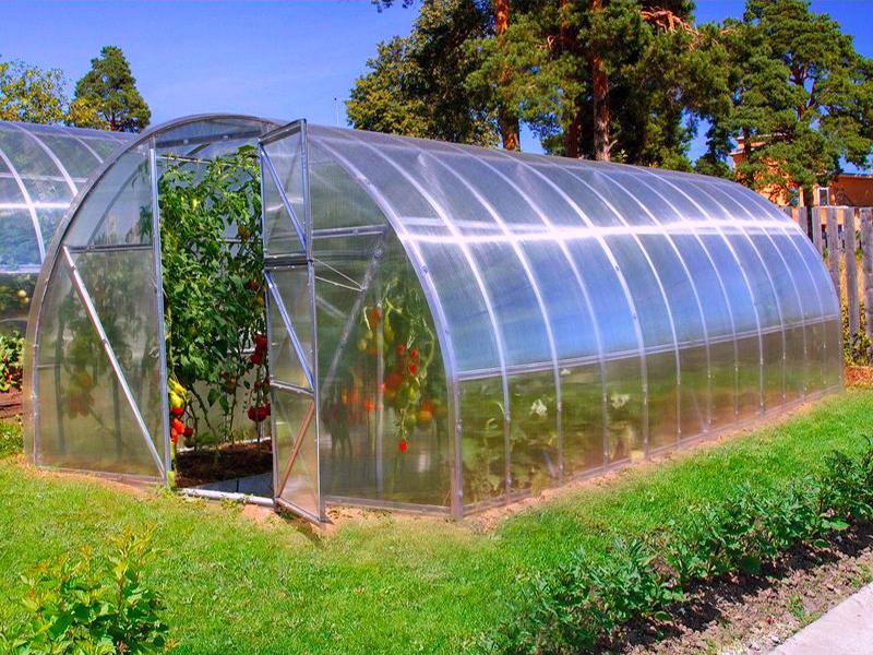 Polikorbanāta siltumnīca Garden 3x6m ar polikarbonatu