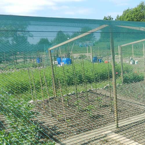 Pret putnu siets ORTOFLEX 2x5m |