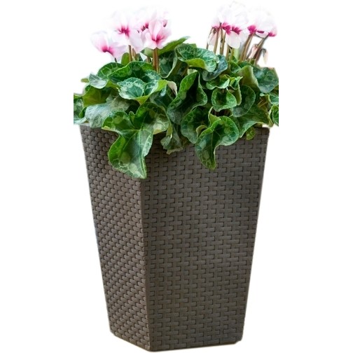 KETER Puķu pods Rattan Planter S
