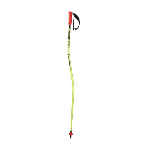 ELAN SKIS RaceRod GSX (Gaiši zaļa