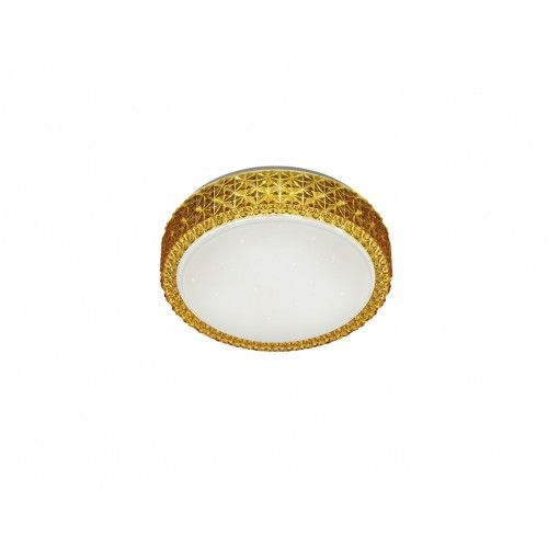 TRIO-Lighting REALITY R62421113 PEGASUS sienas gaismeklis