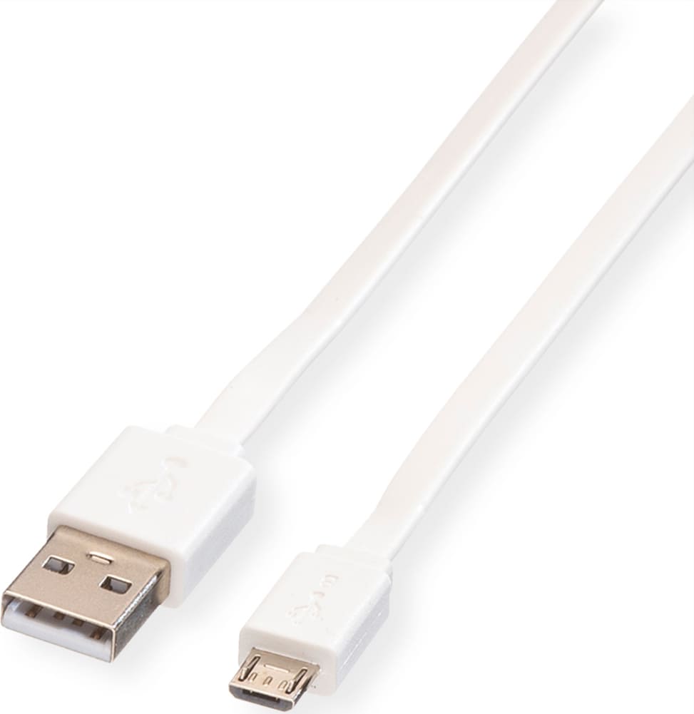 Roline USB 2.0 Cable, A