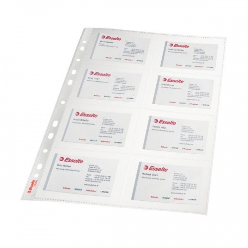Sleeve Esselte, A4, 105 microns, for
