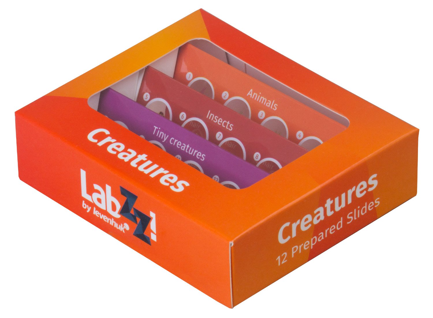 Sagatavoto slaidu komplekts Levenhuk LabZZ C12