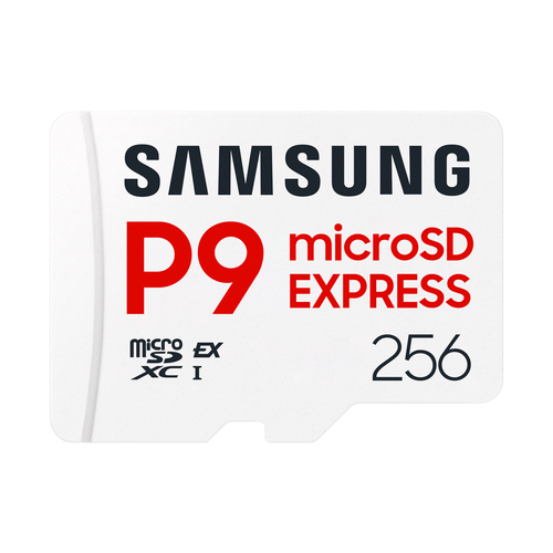 Samsung P9 Express | MicroSD Card