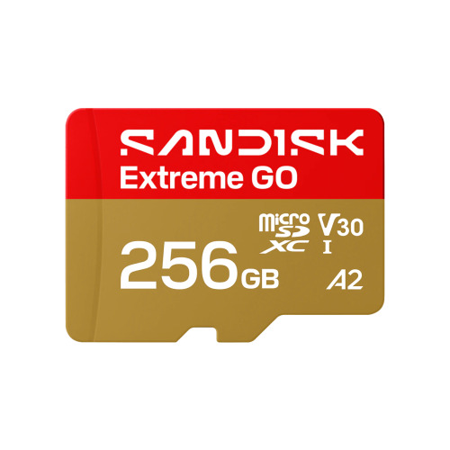 SANDISK Extreme GO microSDXC 256GB UHS-I