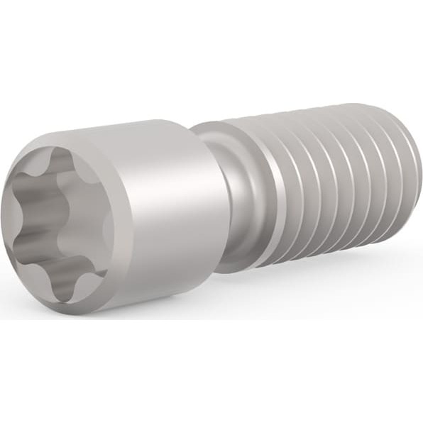 Schroff Grub Screw, Stainless Steel, M2