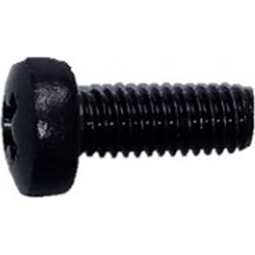 Schroff Panhead Screw, Pozidrive, M6x16, St