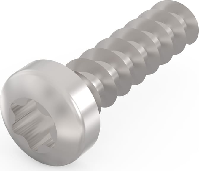 Schroff Panhead Screw, Torx, Ø 2