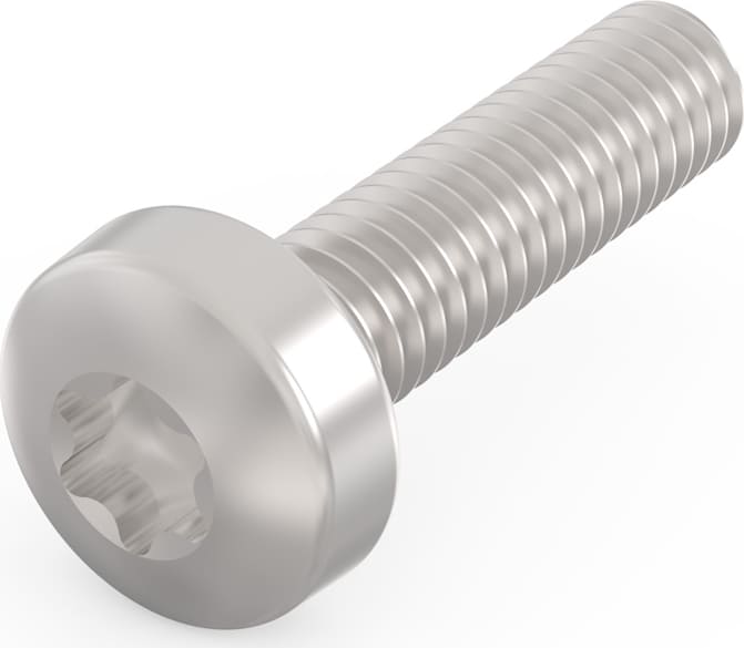 Schroff Panhead Screw, Torx, Steel Nickel