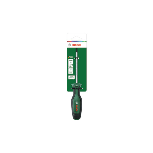 BOSCH Skrūvgr. TORX TX20x100mm | 1600A03DT4