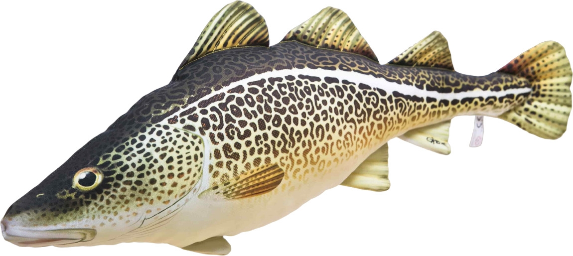 Gaby Spilvens Atlantijas menca (38cm/75cm) |