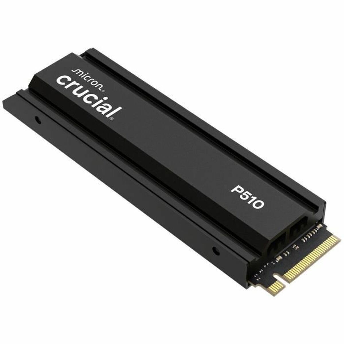 SSD disks Crucial P510 2TB M