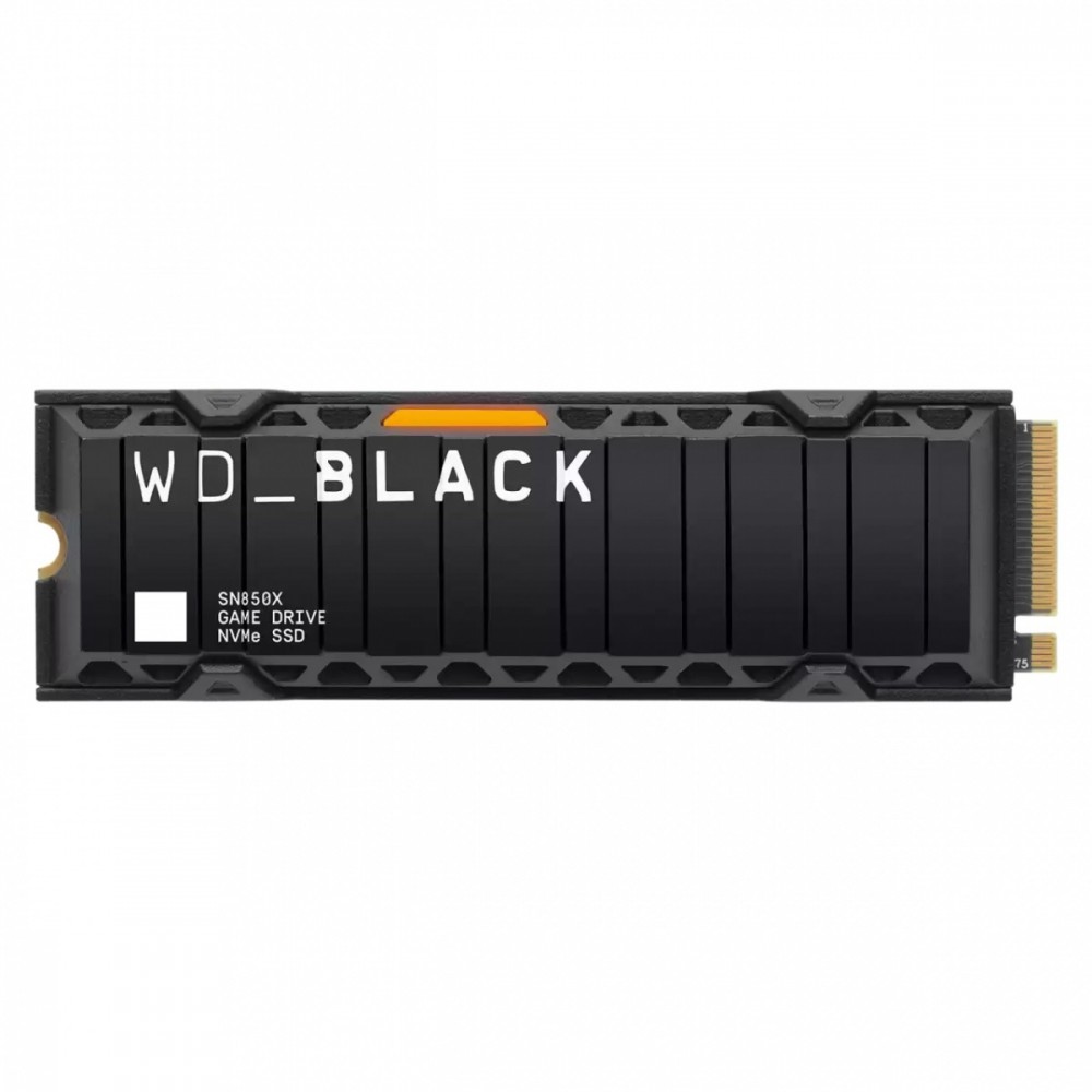 WESTERN DIGITAL SSD disks SanDisk Black
