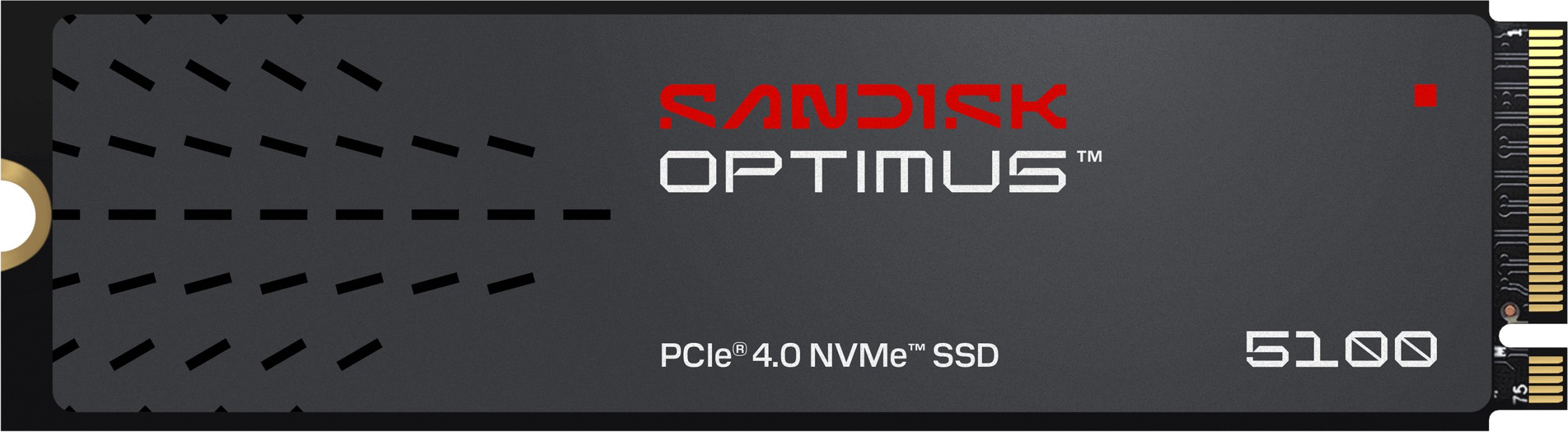 SSD disks SanDisk SSD PCIE G4