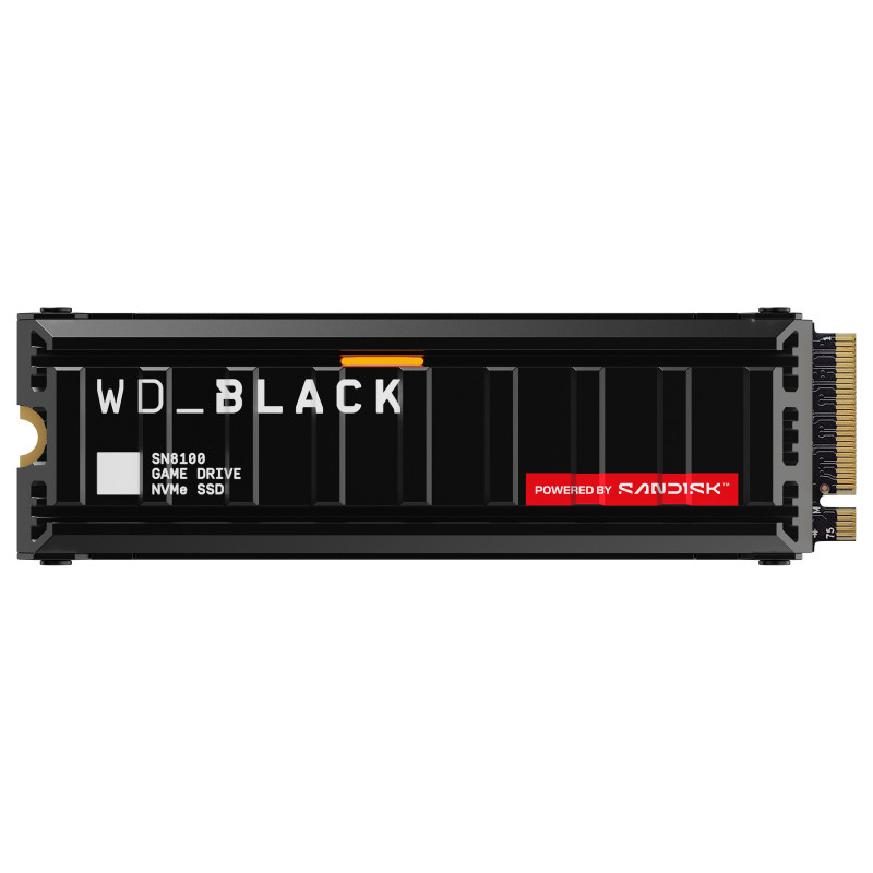 WESTERN DIGITAL SSD disks WD SN8100