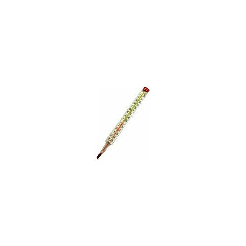 Stikla termometrs  0-120*C L-200mm (spirta) WATTS