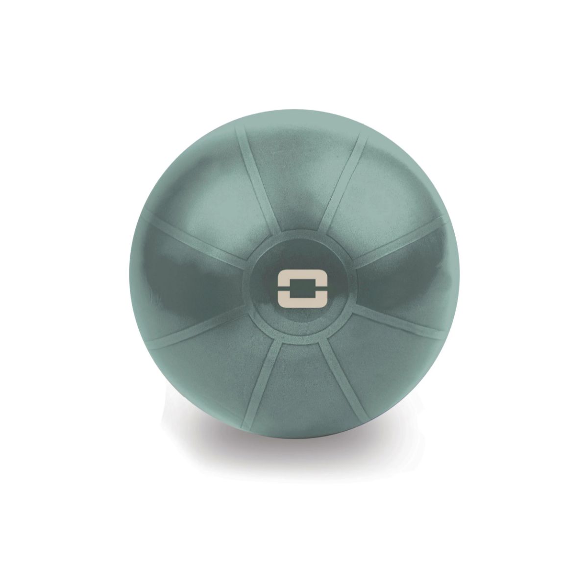 Toorx Liveness Gym ball AYP-001 D55cm