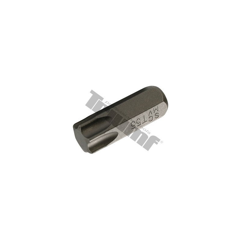 TRIUMF PROFESIONAL TOOLS TORX T60 ĪSS