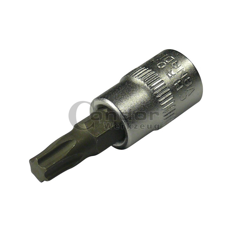 CONDOR WERKZEUG Torx uzgalis muciņā, 1/4&quot