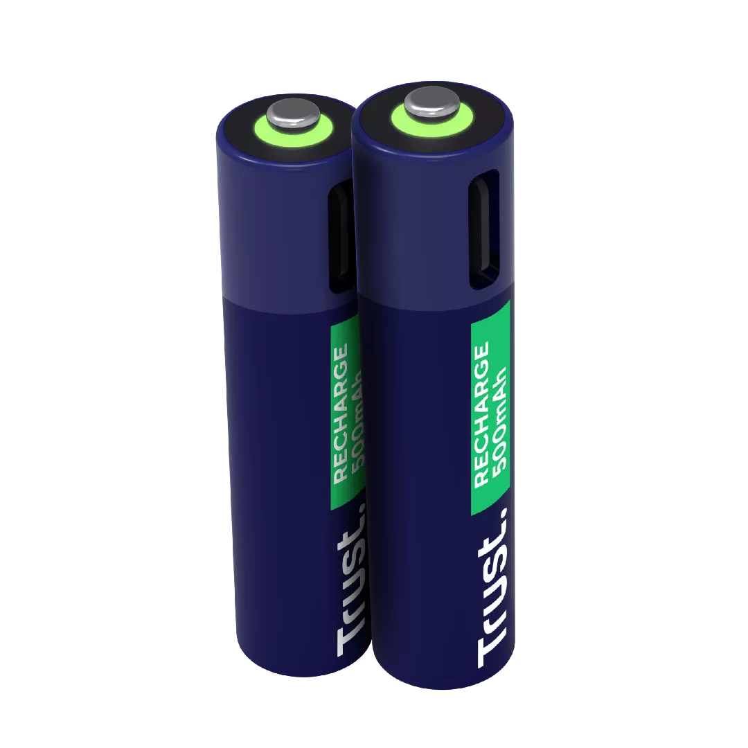 Trust 25585 household battery Rechargeable battery