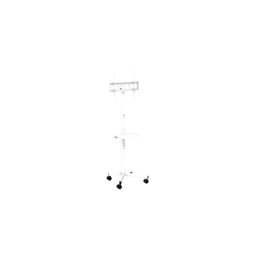 GEMBIRD TV floor stand w caster