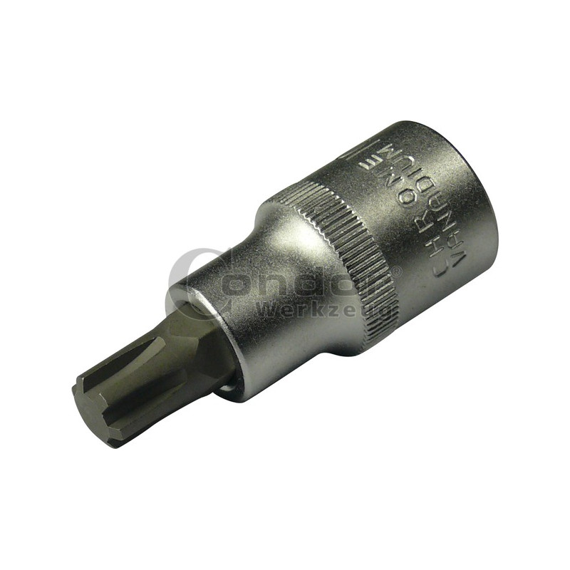CONDOR WERKZEUG Uzgalis muciņā, 1/2", ribe