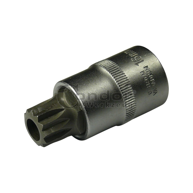 CONDOR WERKZEUG Uzgalis muciņā, 1/2", spline