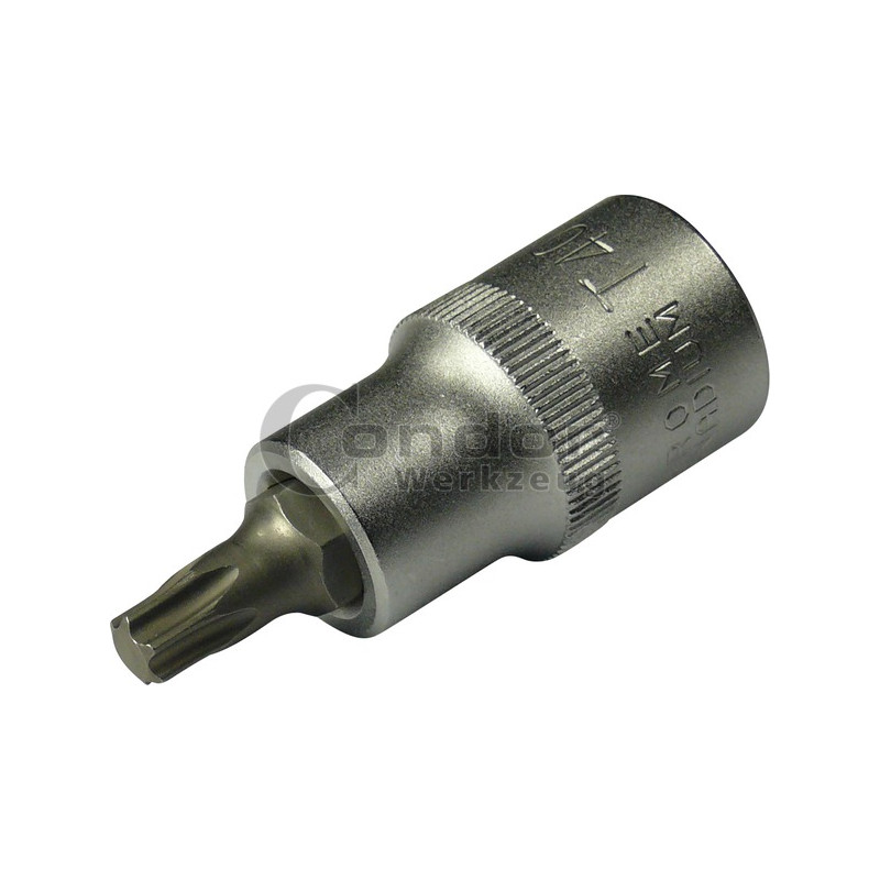 CONDOR WERKZEUG Uzgalis muciņā, 1/2", Torx