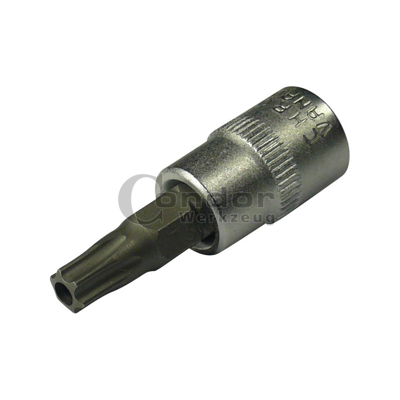 CONDOR WERKZEUG Uzgalis muciņā, 1/4", Torx