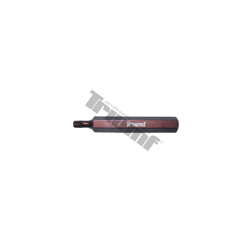 TRIUMF PROFESIONAL TOOLS Uzgalis torx garais