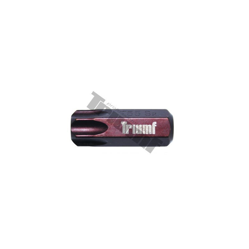 TRIUMF PROFESIONAL TOOLS Uzgalis torx īsais