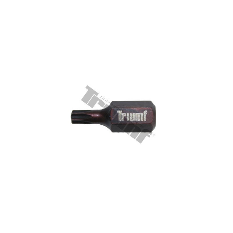 TRIUMF PROFESIONAL TOOLS Uzgalis torx T27*30mm