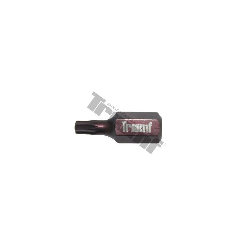 TRIUMF PROFESIONAL TOOLS Uzgalis Triumf M5*30mm