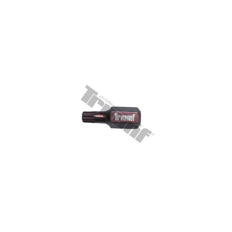 TRIUMF PROFESIONAL TOOLS Uzgalis Triumf M6*30mm