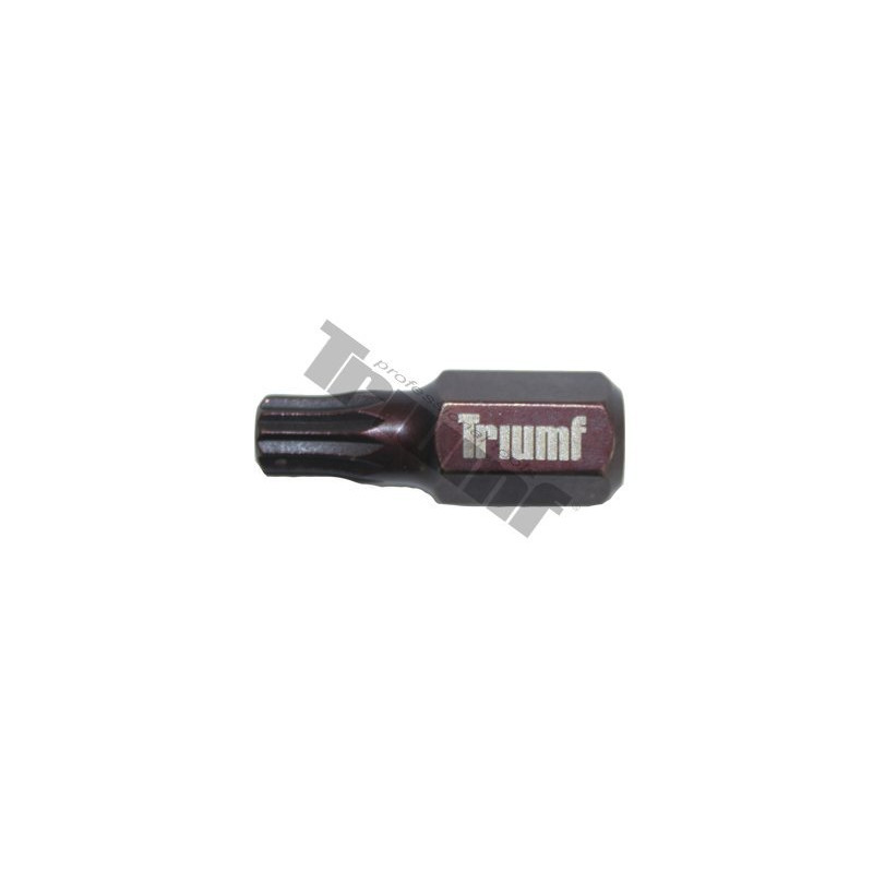 TRIUMF PROFESIONAL TOOLS Uzgalis Triumf M8*30mm