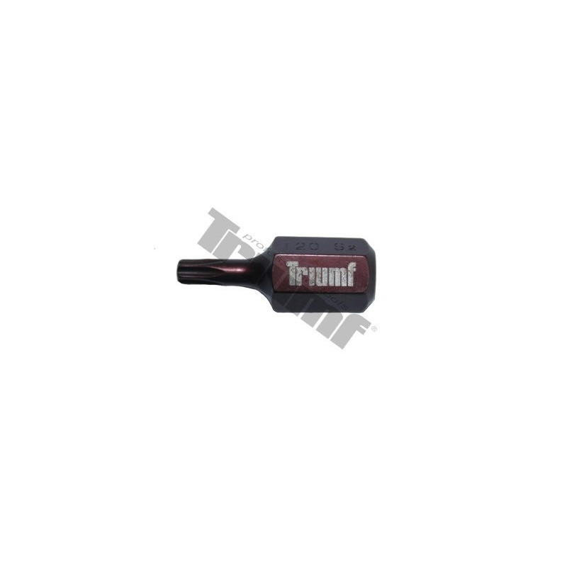 TRIUMF PROFESIONAL TOOLS Uzgalis Triumf T20