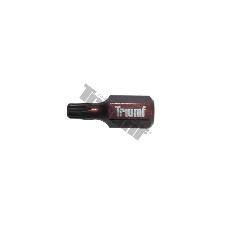TRIUMF PROFESIONAL TOOLS Uzgalis Triumf T30*30mm