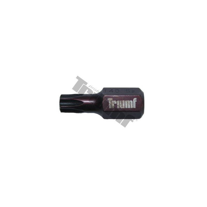 TRIUMF PROFESIONAL TOOLS Uzgalis Triumf T40*30mm