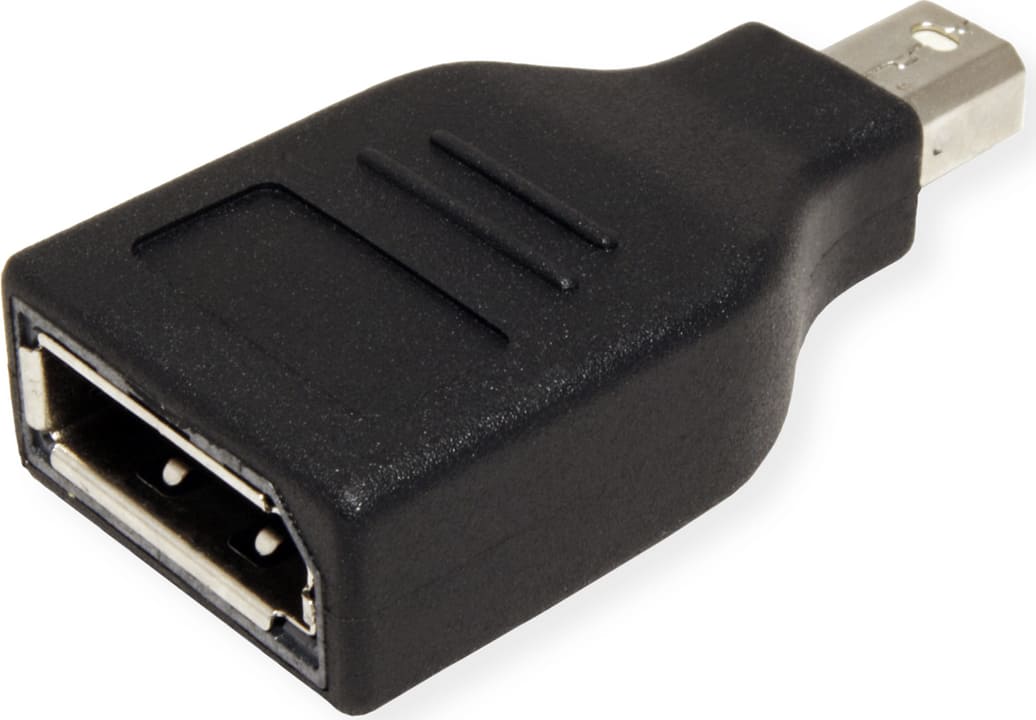Value DisplayPort Adapter, Mini DP M